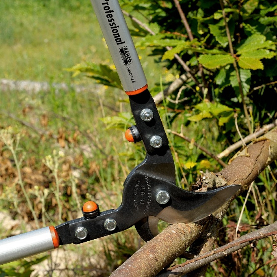 Garden Loppers | Hire Here Dublin